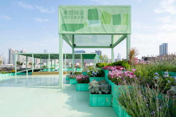 Taman atap yang hijau dan nyaman